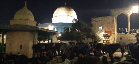 فيديو : مواجهات بين شبان مقدسيين وقوات الشرطة قرب باب العامود
